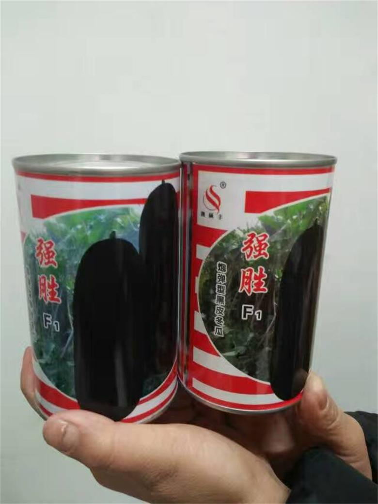 優質雜交冬瓜種子_特大黑皮冬瓜種子