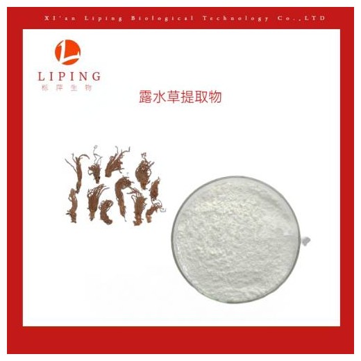 露水草提取物蛻皮甾酮50%90%98%價格